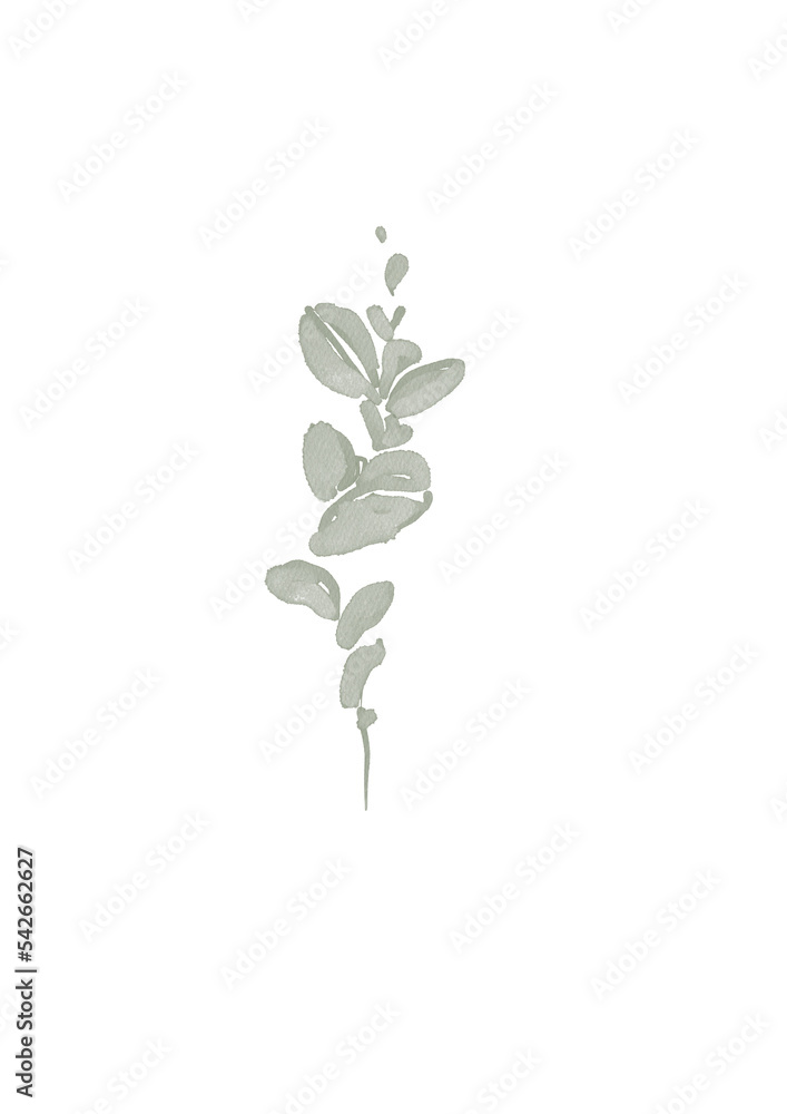 Watercolor illustration of eucalyptus plant Watercolor illustration of eucalyptus plant