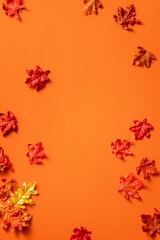 Maple leaves isolated on orange table background for design elements in autumn season.