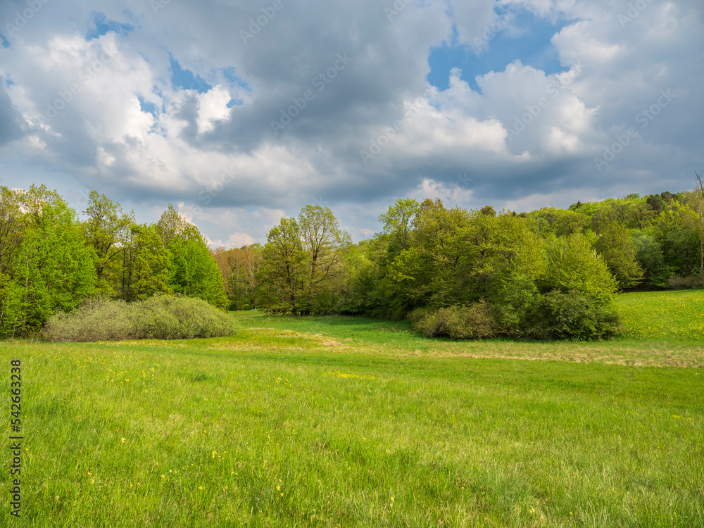 NSG Urwiese bei Unfinden, Stadt Königsberg, Naturpark Haßberge, Landkreis Haßberge, Unterfranken, Franken, Bayern, Deutschland NSG Urwiese bei Unfinden, Stadt Königsberg, Naturpark Haßberge, Landkreis Haßberge, Unterfranken, Franken, Bayern, Deutschland