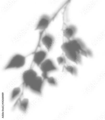 Transparent natural plant shadow. Light effect overlay. Mesh grid. Shadows from branches, plant, foliage and leaves on ground. Presentation your design card, poster Photo realistic vector illustration
