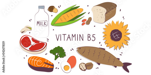 Vitamin B5 Pantothenic acid. Groups of healthy products containing vitamins. Set of fruits, vegetables, meats, fish and dairy