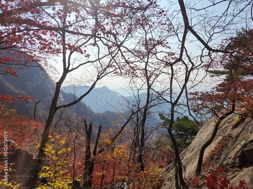 Bukhansan National Park - autumn mountains. hiking Korean mountains. mountain landscapes in autumn. trekking. rise to the top of the mountain. red and yellow autumn leaves