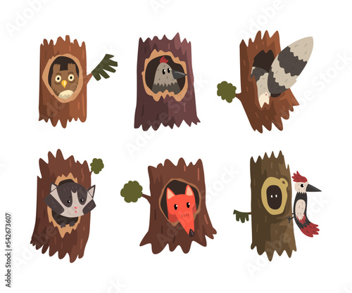 Funny Animals Sitting and Peeking ot From Tree Hollow Vector Set