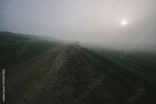 Countryside in the morning with fog or mist