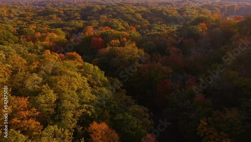 Grand Haven in the middle of Fall. Various shades changing in the leaves. photo