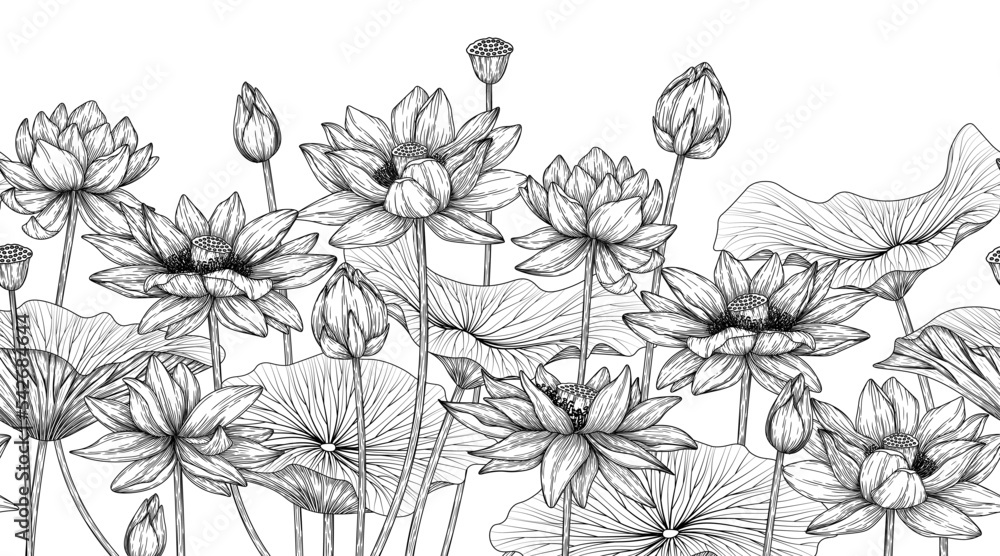 Seamless horizontal pattern garden with lotus flowers in engraving style