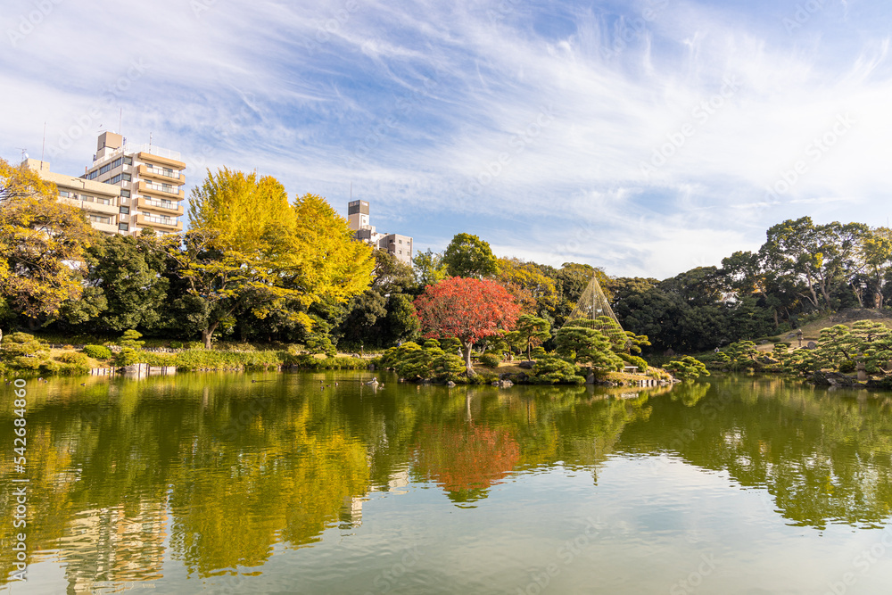 秋の清澄庭園 秋の清澄庭園