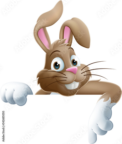 Easter Bunny Cartoon Sign photo