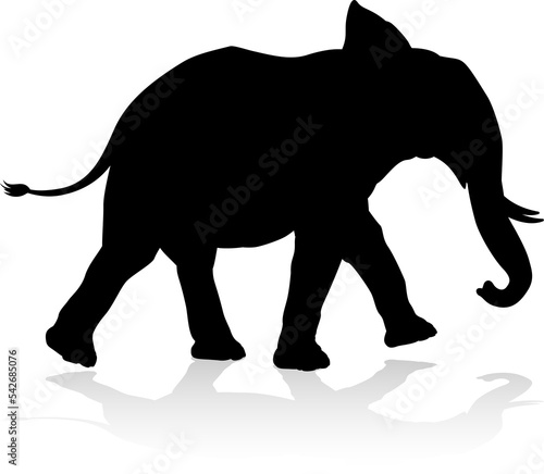 Canvas Print Elephant Silhouette