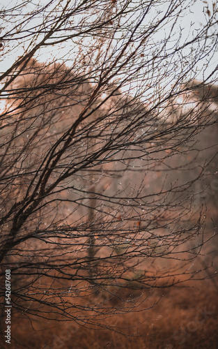 Stimmungsvolle herbstliche Aufnahme