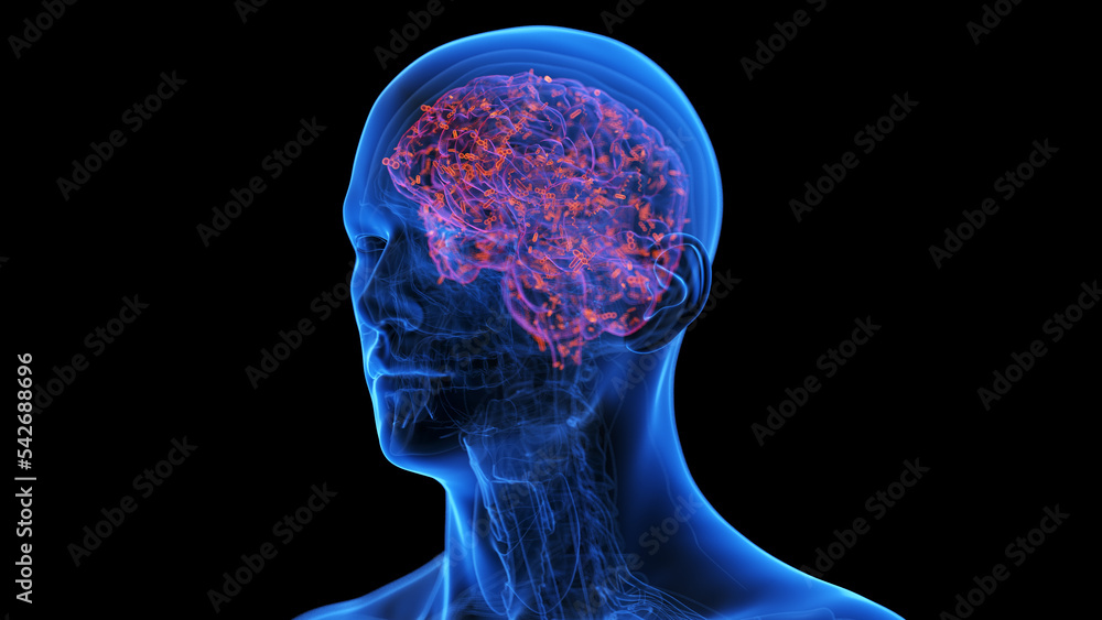 Obraz premium medical illustration