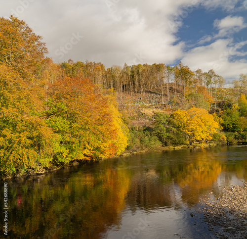 Autumn trees near Lambley in Northumberland photo