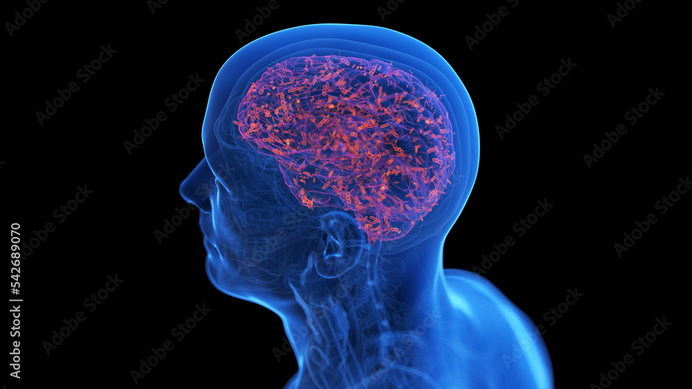 Obraz premium medical illustration