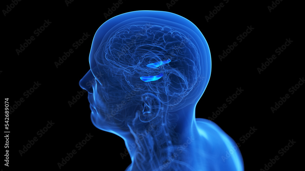 Obraz premium medical illustration