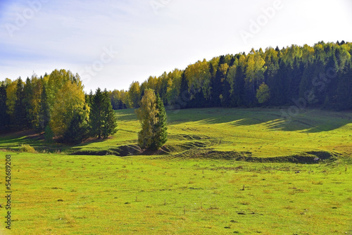 Forest and fields in autumn color illuminated by the sun