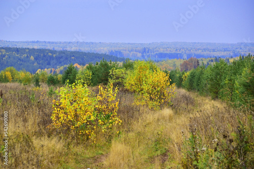 Autumn panorama of the taiga near the sources of the Mechka River