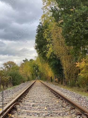 railway in the autumn