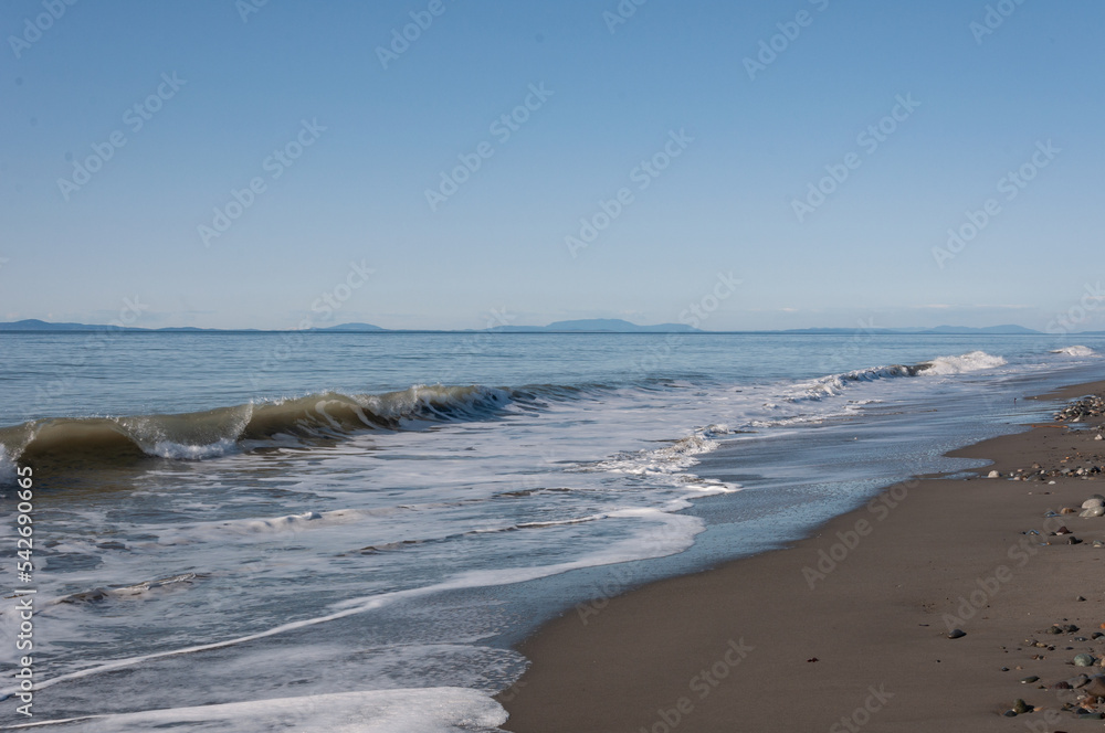 Surf of Puget Sound washing sands of Dungeness Spit, Olympic Peninsula, USA