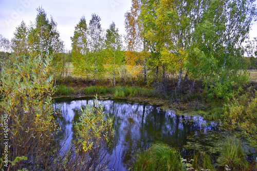 Karst lake in autumn field