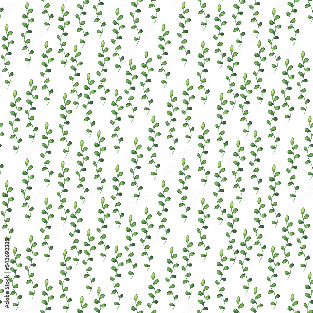 Watercolor of green leaves seamless pattern white background. Hand ...
