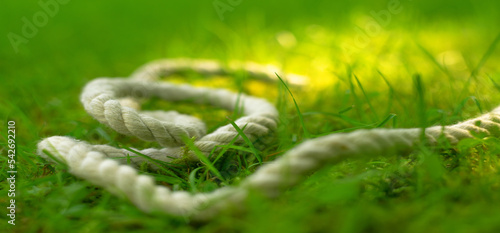 White sea rope on green grass. The paracord cord is a white hemp rope.