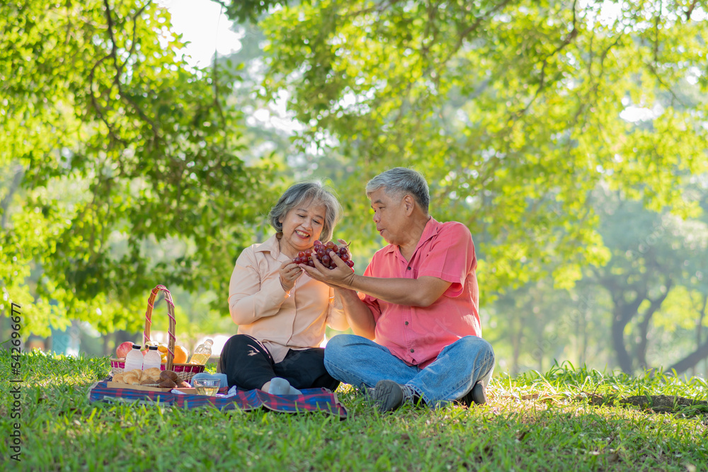 Happy old elderly couple spouses relaxing and sitting on a blanket in the park and sharing few precious memories. Senior couple having great time together on a picnic. concept of mature relationships Happy old elderly couple spouses relaxing and sitting on a blanket in the park and sharing few precious memories. Senior couple having great time together on a picnic. concept of mature relationships