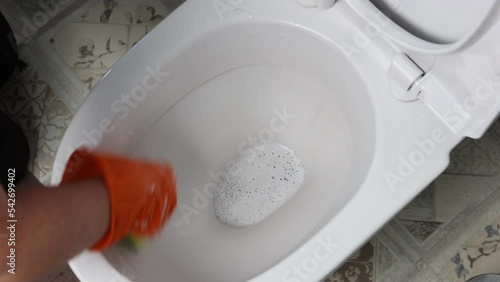 Sanitizing surface of toilet bowl in toilet using protective gloves, sponge and detergent. photo