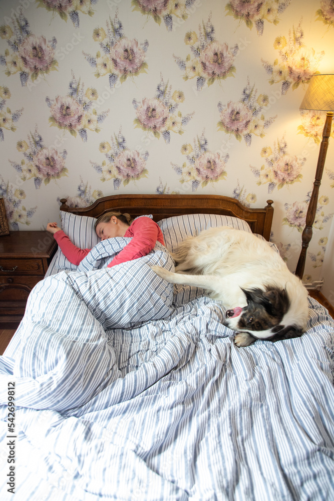 cute white dog in bed in vintage bedroom