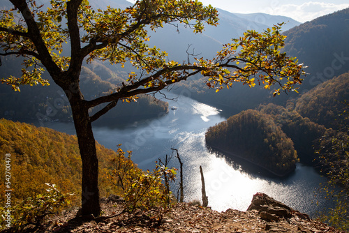 amazing aerial view of lake in autumn photo