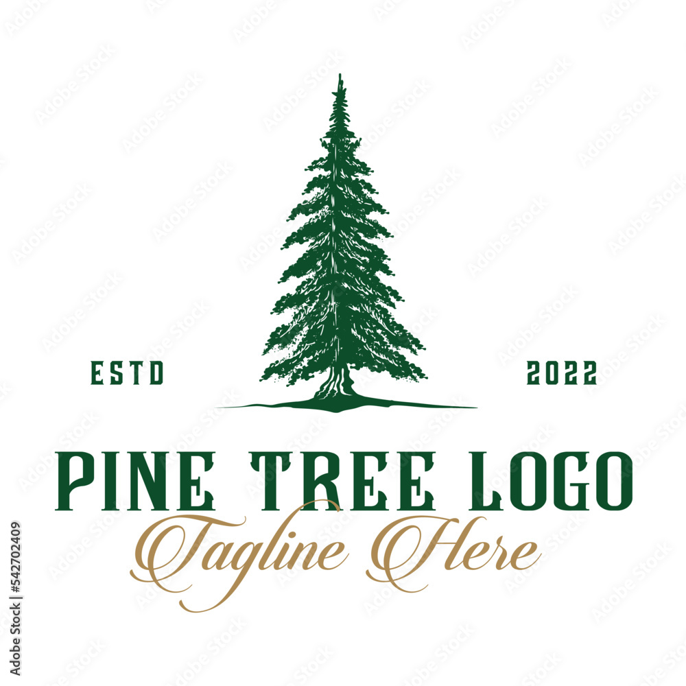 vector pine tree logo design. vector pine tree logo design.
