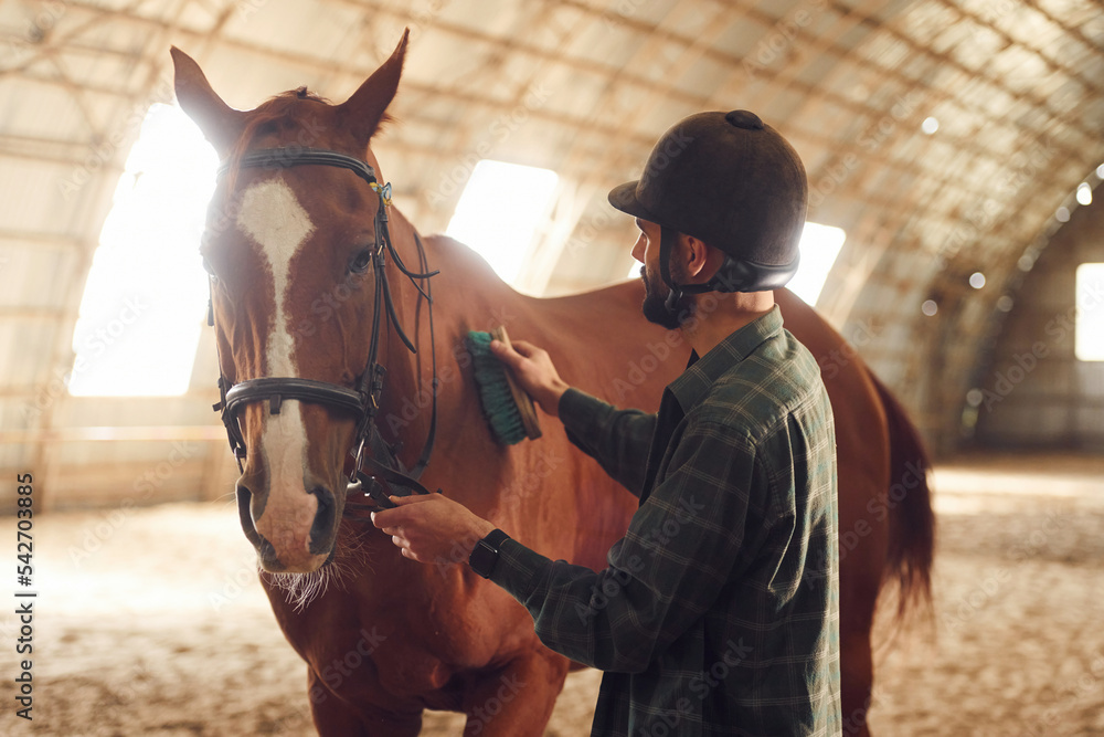 Obraz premium Cleans wool by brush. Young man with a horse is in the hangar