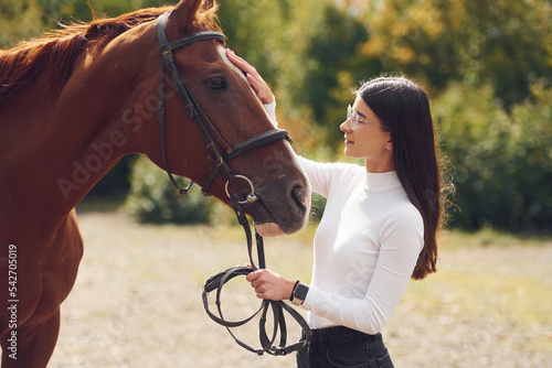 Touching the animal. Young beautiful woman with a horse is outdoors