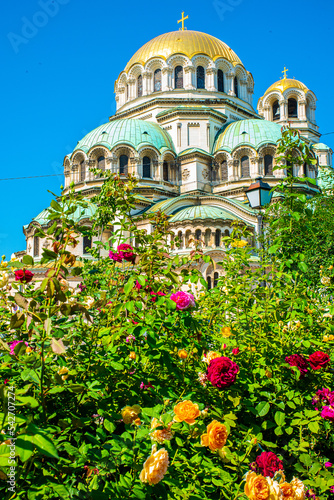 Fleurs devant la cathédrale Alexandre Nevski, Sofia, Bulgarie