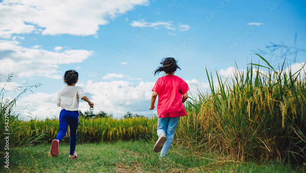 Cheerful little children play and outdoor running in the green rice field under blue sky. Concept for eco friendly in nature and happy childhood of school kids. Happiness and freedom. Cheerful little children play and outdoor running in the green rice field under blue sky. Concept for eco friendly in nature and happy childhood of school kids. Happiness and freedom.