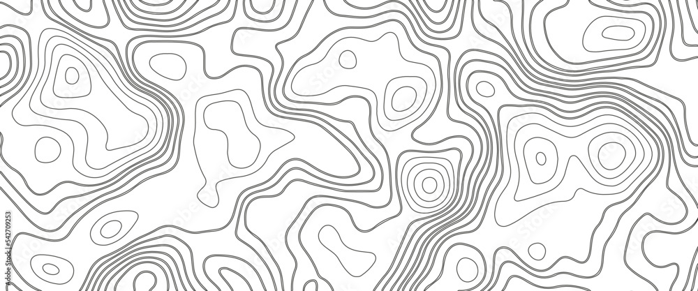 Fototapeta premium Abstract topographic map background. Abstract topographic map background. Imitation of a geographical map. Geographic map conceptual design. Elegant background for presentations.