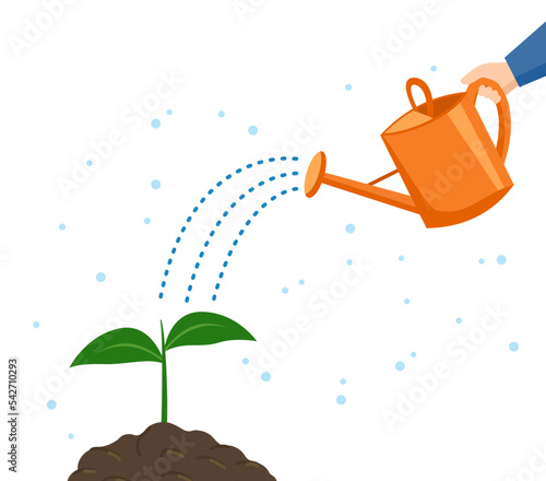 Hand holds a watering can and waters a flower sprout.