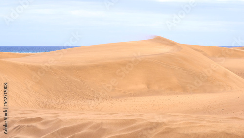 Gran Canaria Dunes