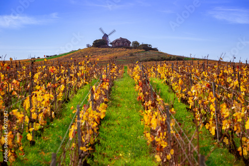 Phare de Vernezay et les vignes de Champagne à l'automne. 