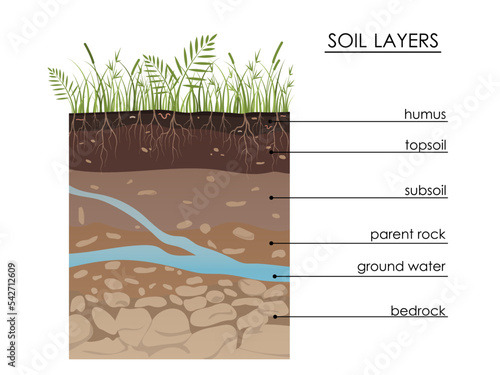 Soil layers diagram with underground water. Geology Underground infographic. Scheme with grass, roots, stones, humus, sand, stones. Land in the section. Mineral particles. Educational illustration