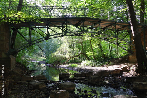 old bridge in the forest