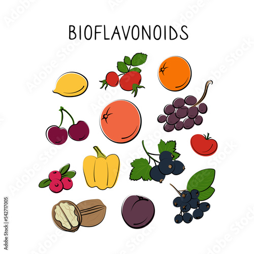 Bioflavonoid-containing food. Groups of healthy products containing vitamins and minerals. Set of fruits, vegetables, meats, fish and dairy