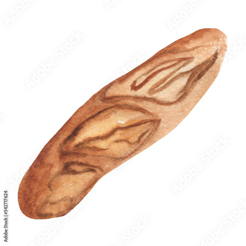 Watercolor bread. Watercolor food illustration.