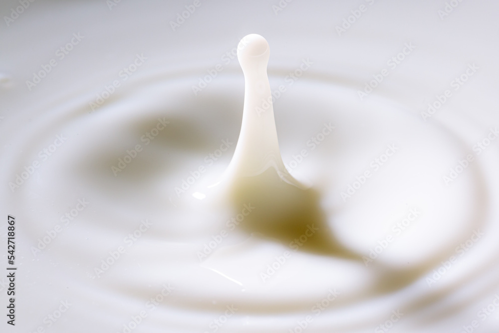 splashing milk drop surface,Macro milk drop,milk drops with ripples,Drop on milk cream dairy product yoghurt milkshake texture swirl graphic design element for packaging flyer ad poster cream splash splashing milk drop surface,Macro milk drop,milk drops with ripples,Drop on milk cream dairy product yoghurt milkshake texture swirl graphic design element for packaging flyer ad poster cream splash
