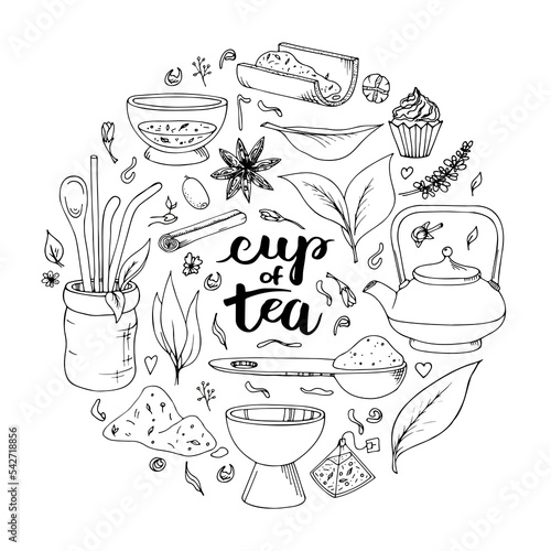 Matcha tea. Vector set of organic tea matcha powder, tea leaves, teapot, macarons, spoon, traditional cup, whisk, tools for Japanese ceremony. Doodle style illustration.
