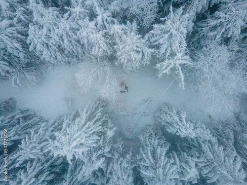 winter wonderland
