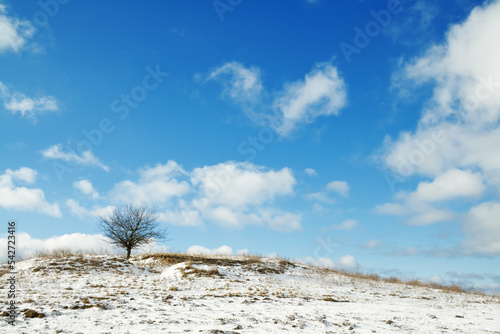 silhouette of lonely tree on the hill in Poland, Europe on sunny day in winter, amazing clouds in blue sky 