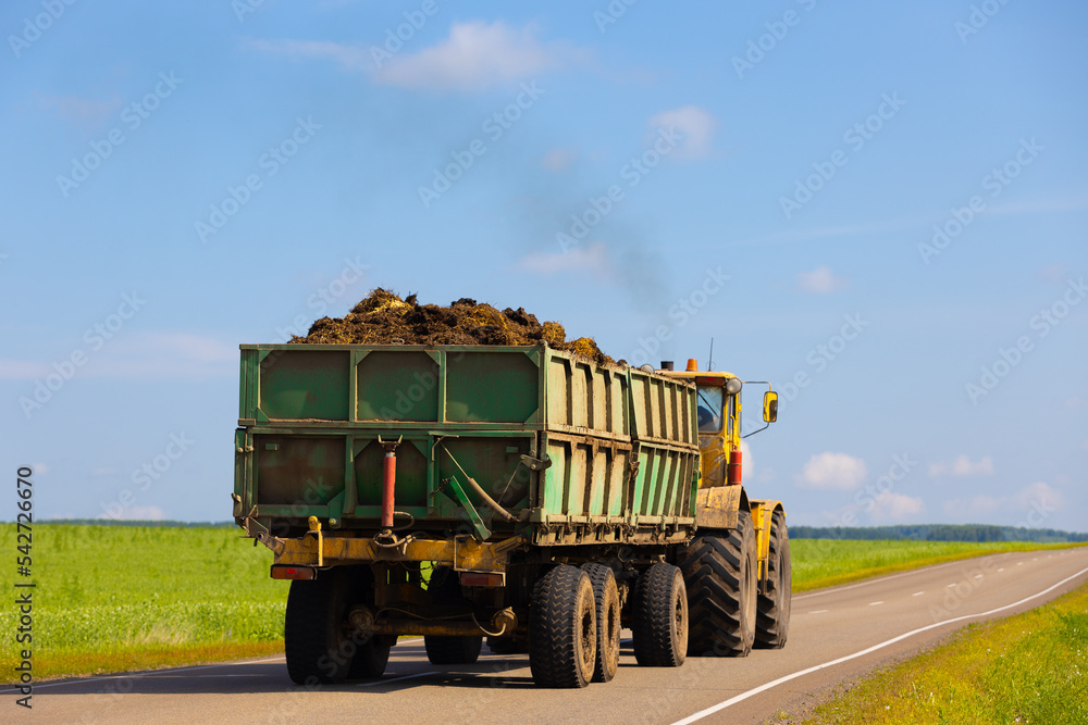 Farm truck overloaded with organic manure or silage driving along a road. Smoky old diesel truck is on a rural road among green agriculture fields. Back view