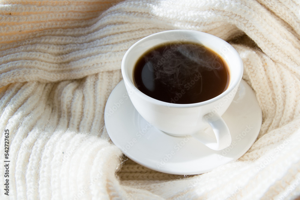 Details of a still life in the living room of a home interior. A white cup of coffee and a scarf by the frozen window. Cozy autumn winter concept.