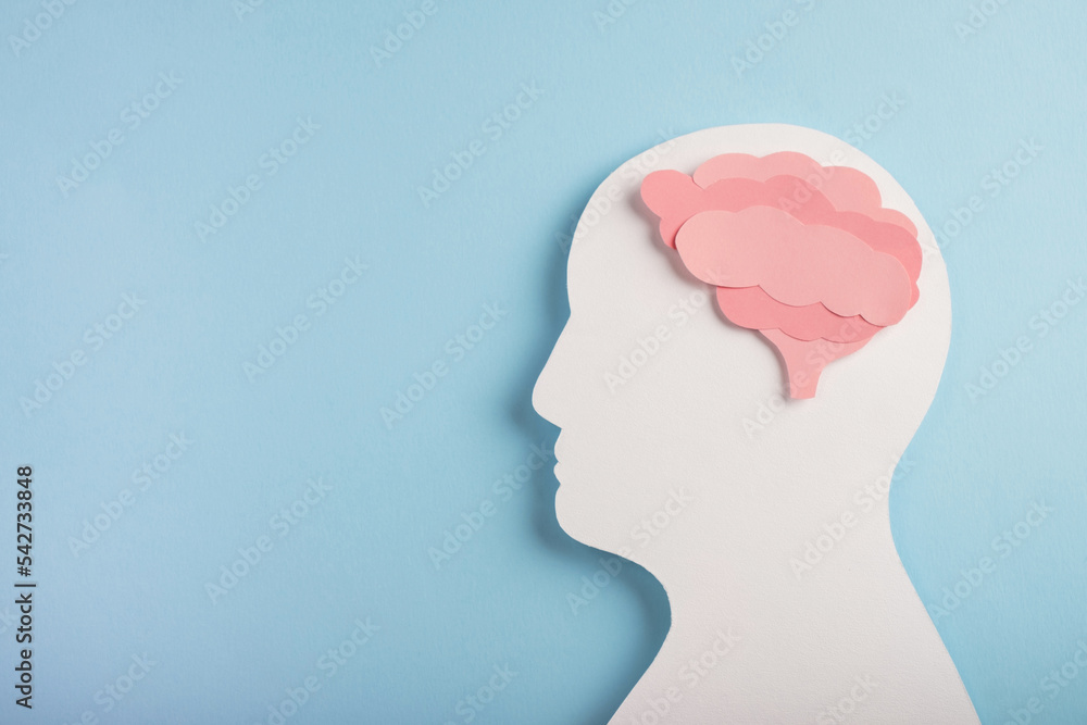 Head silhouette with paper model brain on pastel blue background. Mental health, psychology, brainstorming concept. Top view, copy space Head silhouette with paper model brain on pastel blue background. Mental health, psychology, brainstorming concept. Top view, copy space
