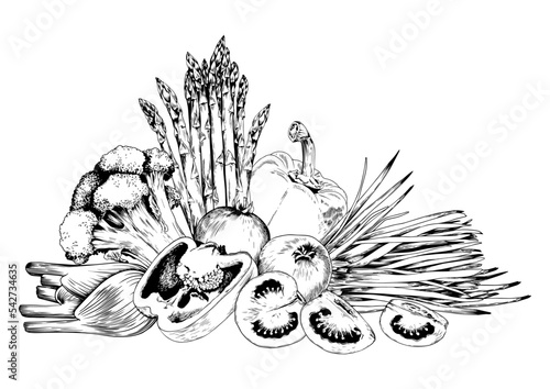 Broccoli, asparagus, tomato and green vegetables. Black and white hand drawn vector illustration.